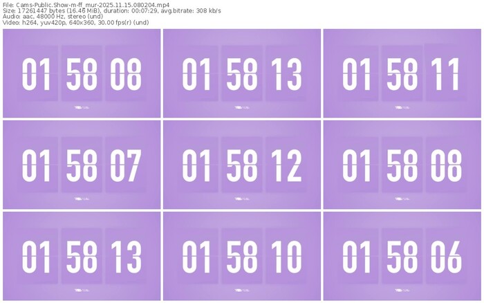 cams-ff_mur-11-15-2025-08-02-04