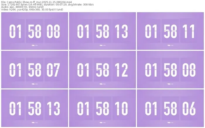 cams-ff_mur-11-15-2025-08-02-04