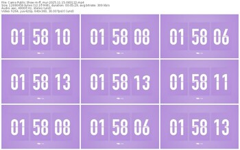 cams-ff_mur-11-15-2025-08-31-22