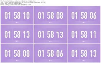 cams-ff_mur-11-15-2025-08-31-22