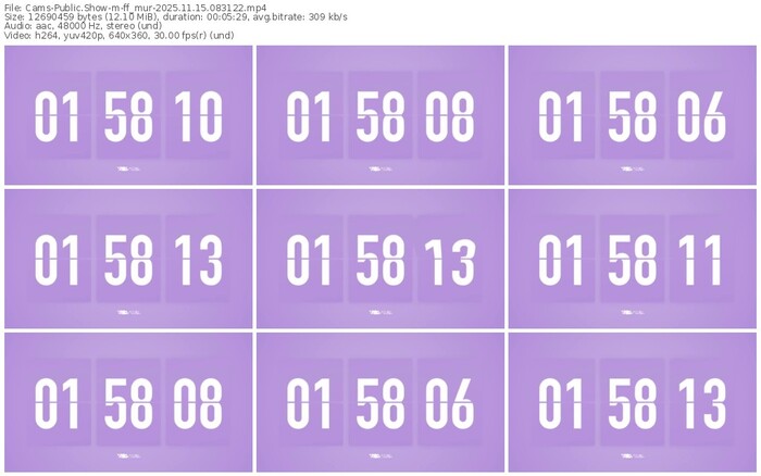 cams-ff_mur-11-15-2025-08-31-22
