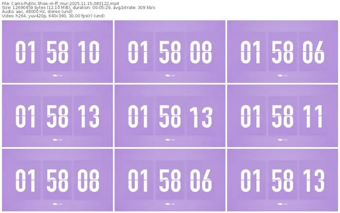 cams-ff_mur-11-15-2025-08-31-22