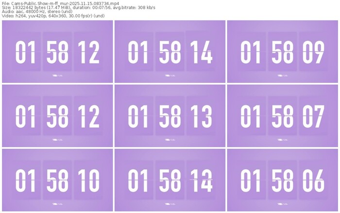 cams-ff_mur-11-15-2025-08-37-34