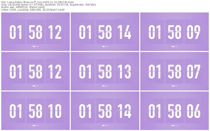 cams-ff_mur-11-15-2025-08-37-34