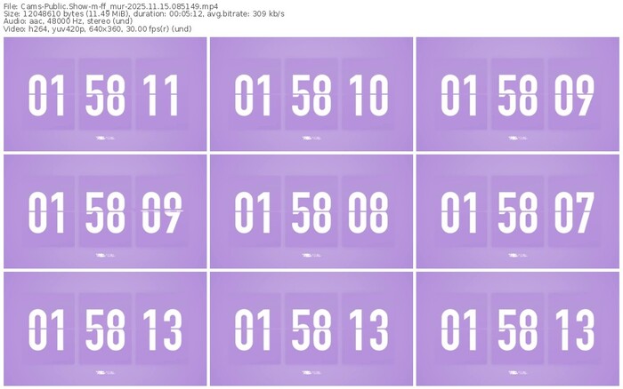 cams-ff_mur-11-15-2025-08-51-49