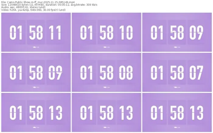 cams-ff_mur-11-15-2025-08-51-49