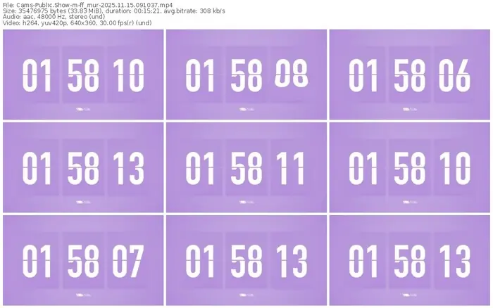 cams-ff_mur-11-15-2025-09-10-37