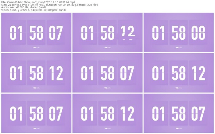 cams-ff_mur-11-15-2025-09-31-44