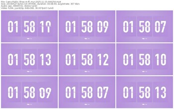 cams-ff_mur-11-15-2025-09-42-54