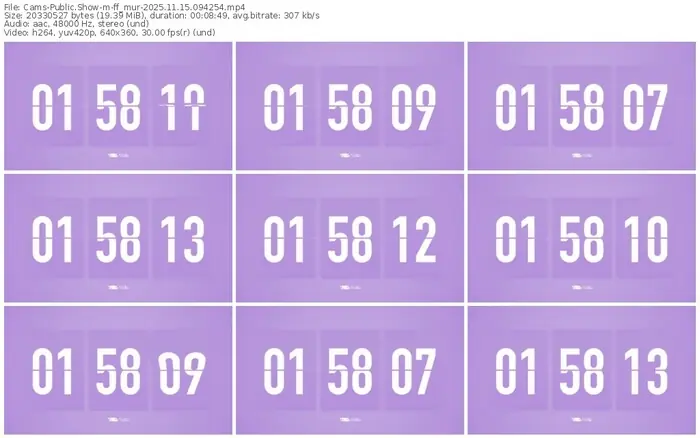 cams-ff_mur-11-15-2025-09-42-54