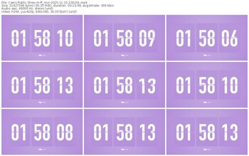 cams-ff_mur-11-15-2025-10-02-01