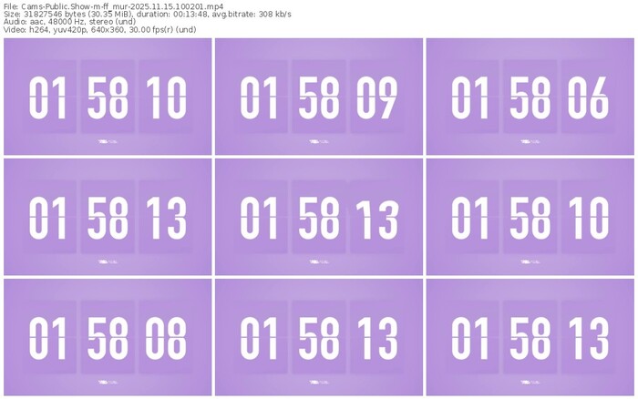 cams-ff_mur-11-15-2025-10-02-01