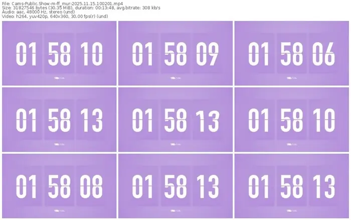 cams-ff_mur-11-15-2025-10-02-01