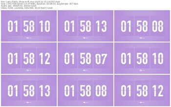 cams-ff_mur-11-15-2025-10-15-57