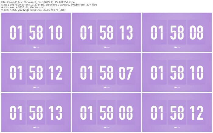cams-ff_mur-11-15-2025-10-15-57