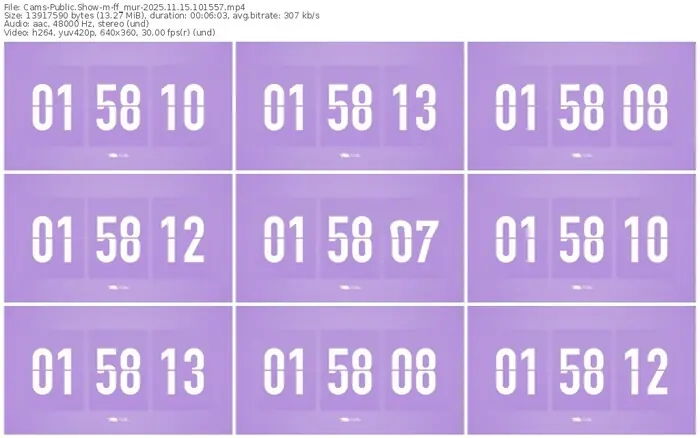 cams-ff_mur-11-15-2025-10-15-57