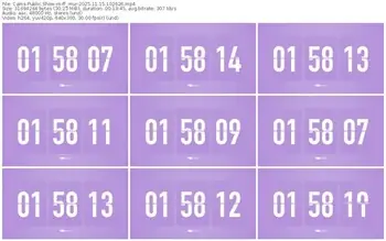 cams-ff_mur-11-15-2025-10-26-26