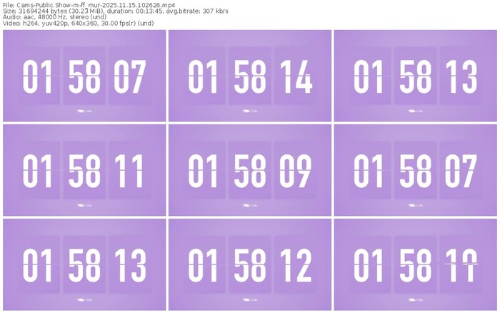 cams-ff_mur-11-15-2025-10-26-26