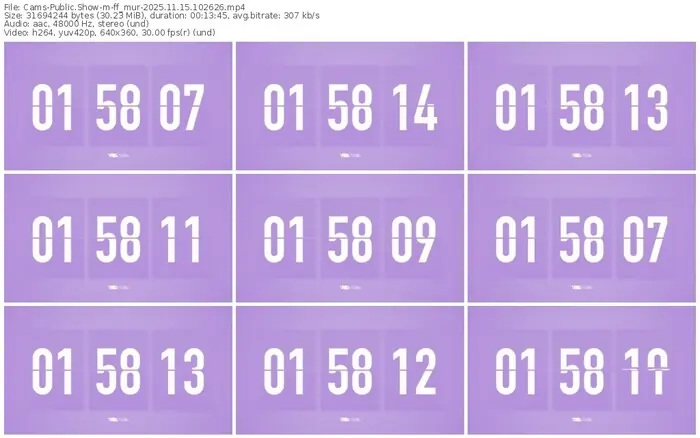cams-ff_mur-11-15-2025-10-26-26