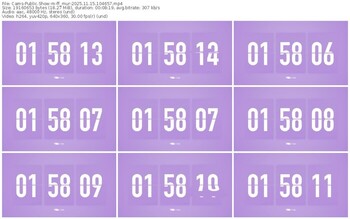 cams-ff_mur-11-15-2025-10-46-57