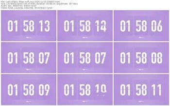 cams-ff_mur-11-15-2025-10-46-57