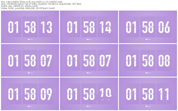 cams-ff_mur-11-15-2025-10-46-57