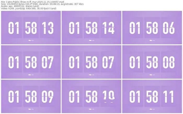 cams-ff_mur-11-15-2025-10-46-57