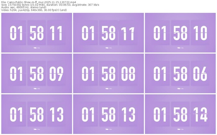 cams-ff_mur-11-15-2025-12-07-22