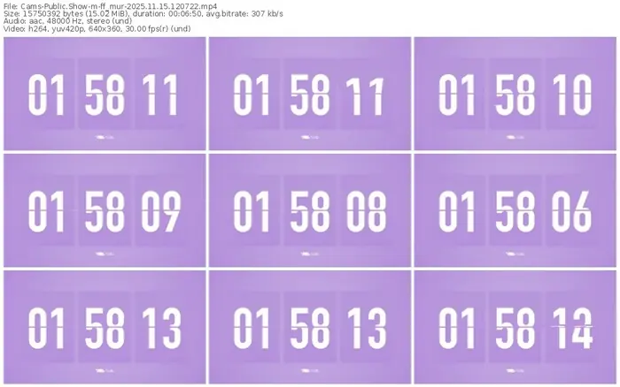 cams-ff_mur-11-15-2025-12-07-22