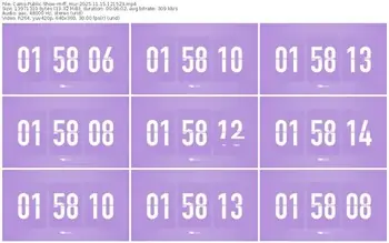 cams-ff_mur-11-15-2025-12-15-23