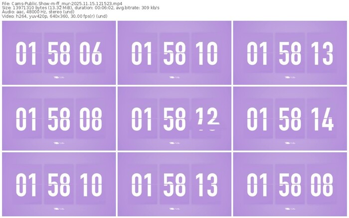 cams-ff_mur-11-15-2025-12-15-23