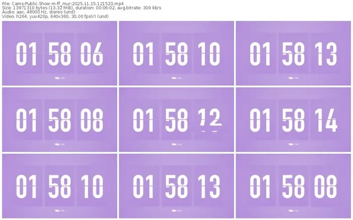 cams-ff_mur-11-15-2025-12-15-23