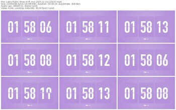 cams-ff_mur-11-15-2025-12-31-57