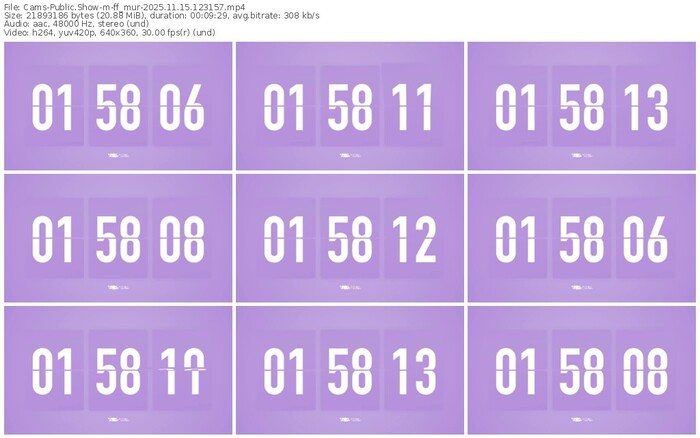 cams-ff_mur-11-15-2025-12-31-57