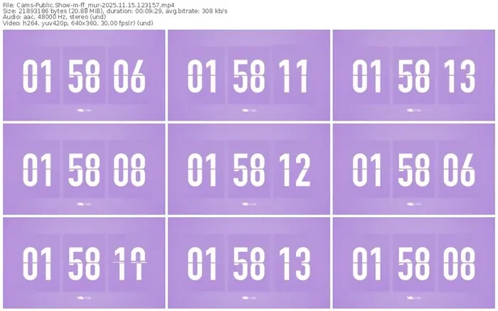 cams-ff_mur-11-15-2025-12-31-57