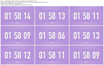 cams-ff_mur-11-15-2025-12-48-13