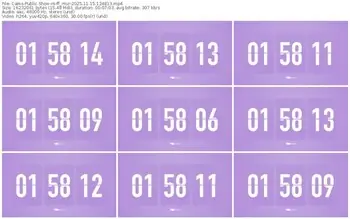 cams-ff_mur-11-15-2025-12-48-13