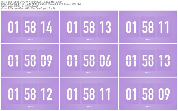 cams-ff_mur-11-15-2025-12-48-13