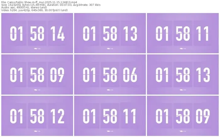 cams-ff_mur-11-15-2025-12-48-13