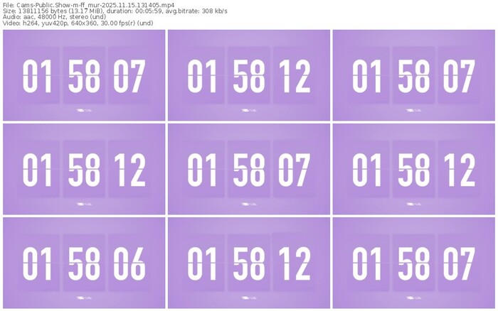 cams-ff_mur-11-15-2025-13-14-05