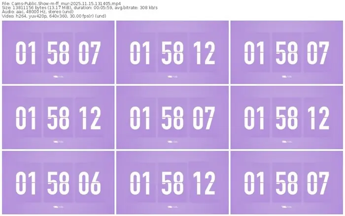 cams-ff_mur-11-15-2025-13-14-05