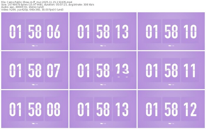 cams-ff_mur-11-15-2025-13-24-35