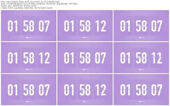 cams-ff_mur-11-15-2025-13-54-52