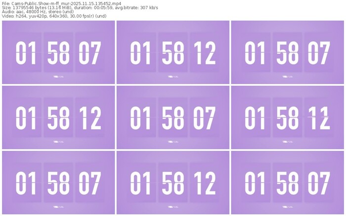 cams-ff_mur-11-15-2025-13-54-52