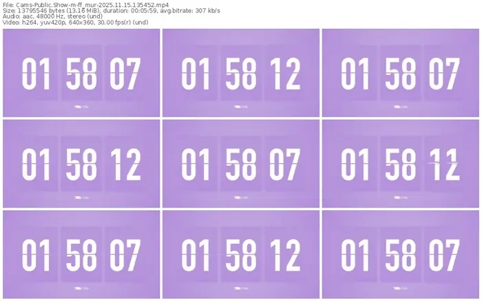 cams-ff_mur-11-15-2025-13-54-52