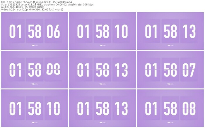 cams-ff_mur-11-15-2025-14-00-49