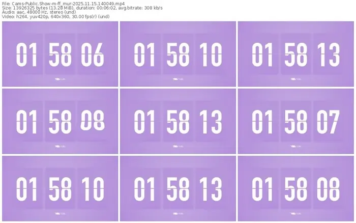 cams-ff_mur-11-15-2025-14-00-49