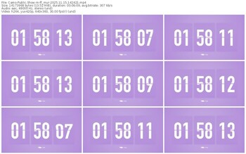 cams-ff_mur-11-15-2025-14-24-21