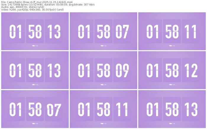 cams-ff_mur-11-15-2025-14-24-21