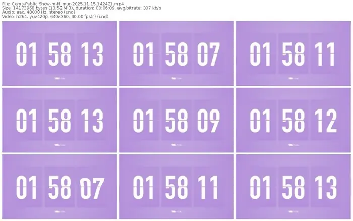 cams-ff_mur-11-15-2025-14-24-21